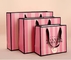 Rosa gestreifte kosmetische Papiertüten Pantone CMYK für Rückkehr-Geschenke
